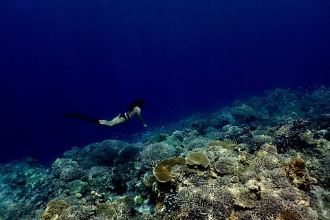 buceo libre curso