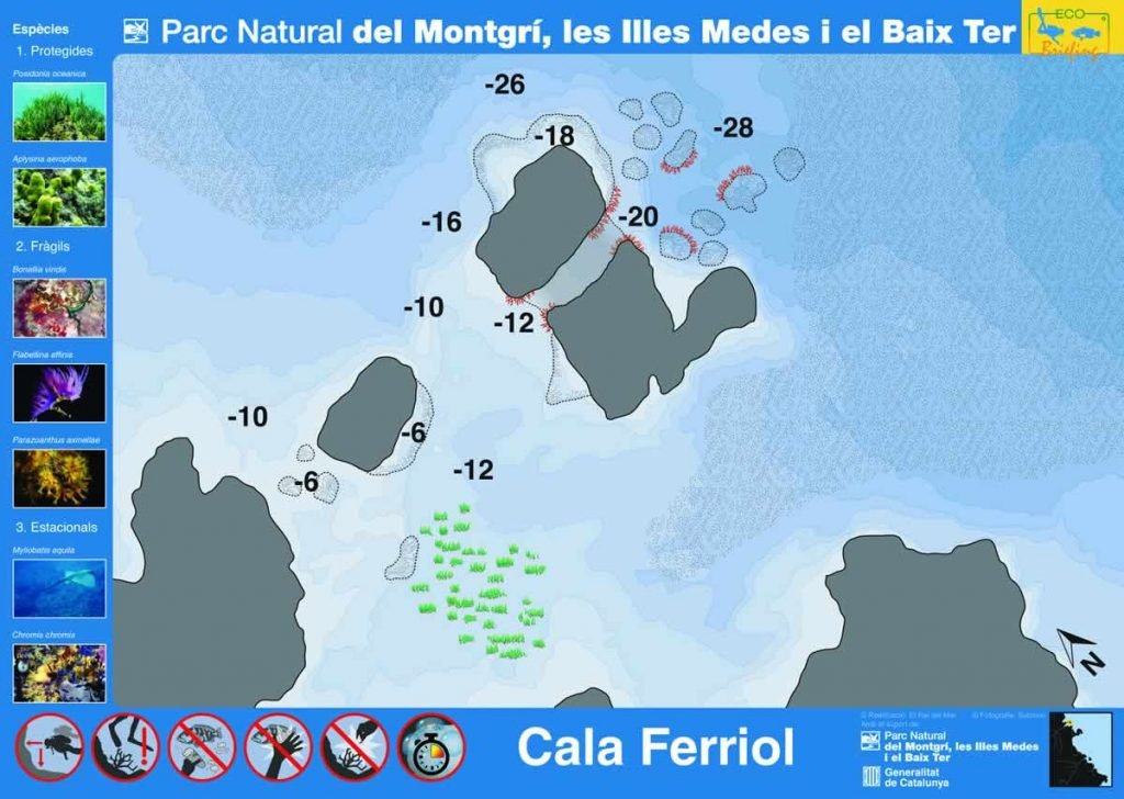 bautizo buceo estartit