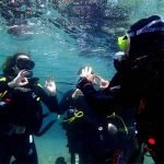 curso de instructor de buceo